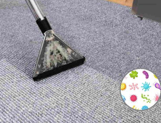 Lavado de alfombras y muebles